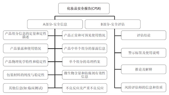 化妝品安全報告流程